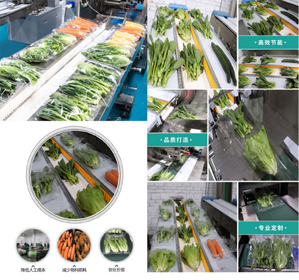 星火自动蔬菜包装机设备